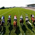 bet of the day horse racing